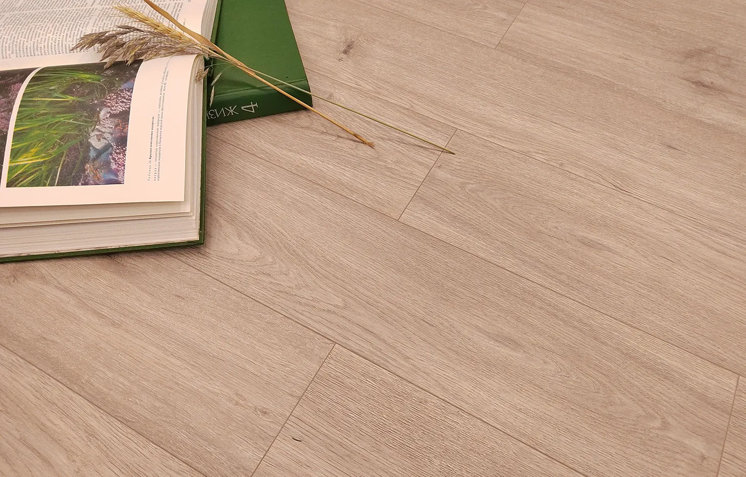 Ламинат Stone Floor Дуб Арктическое лето